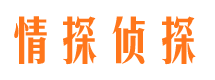 台江市侦探